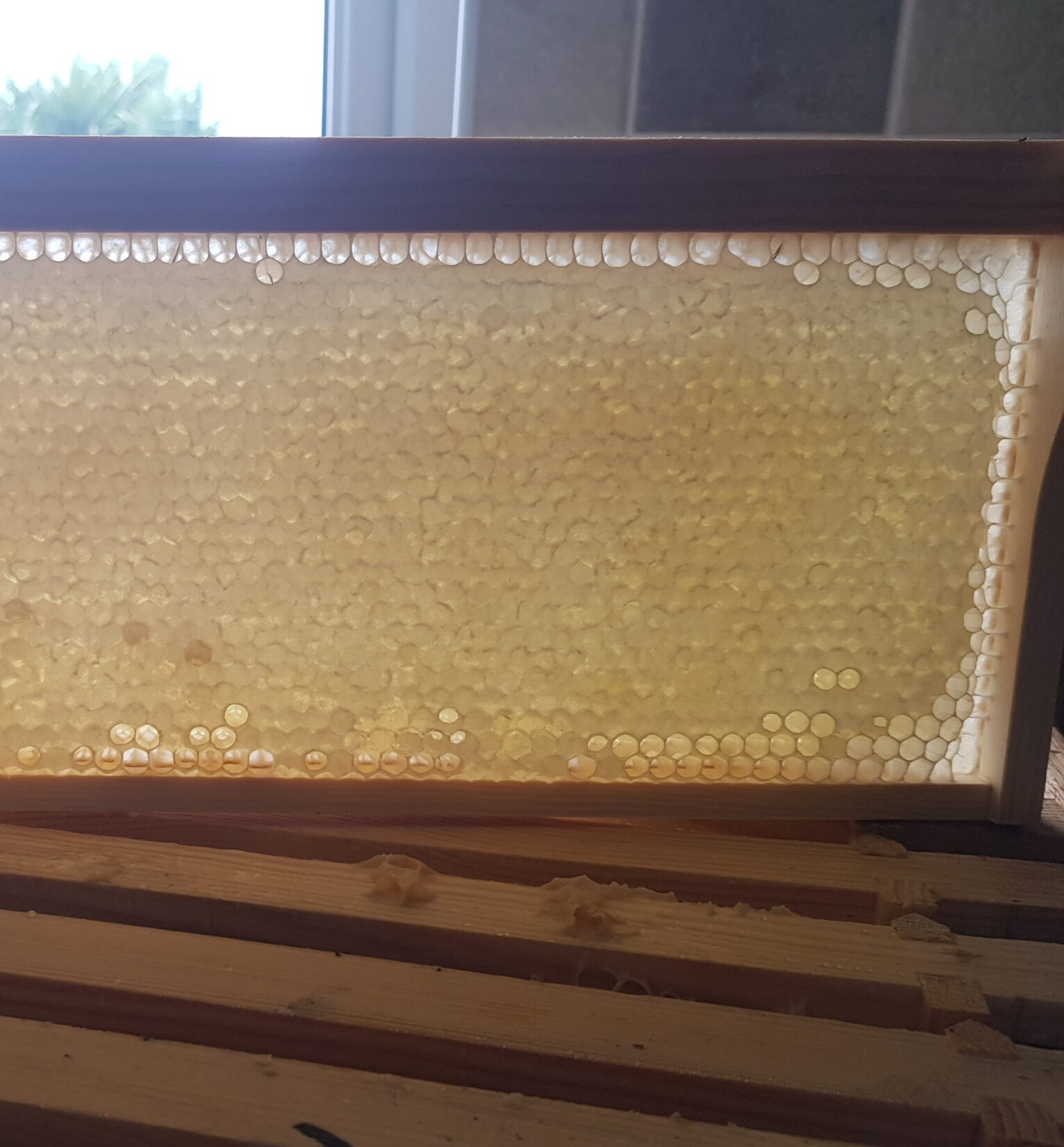 Perfect Honeycomb