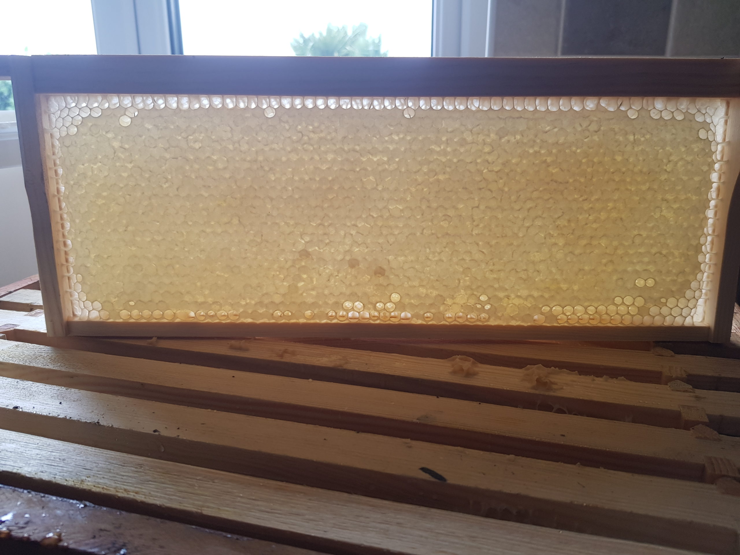 Perfect Honeycomb